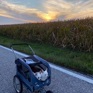Meet your Posher, Carolyn